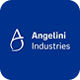 Linkedin Angelini industries